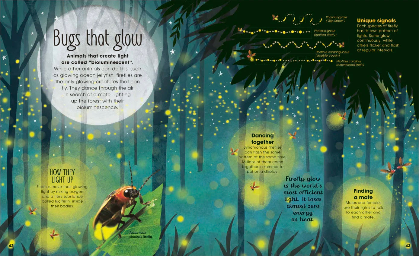The Book of Brilliant Bugs - By Jess French, Illustrated by Claire McElfatrick