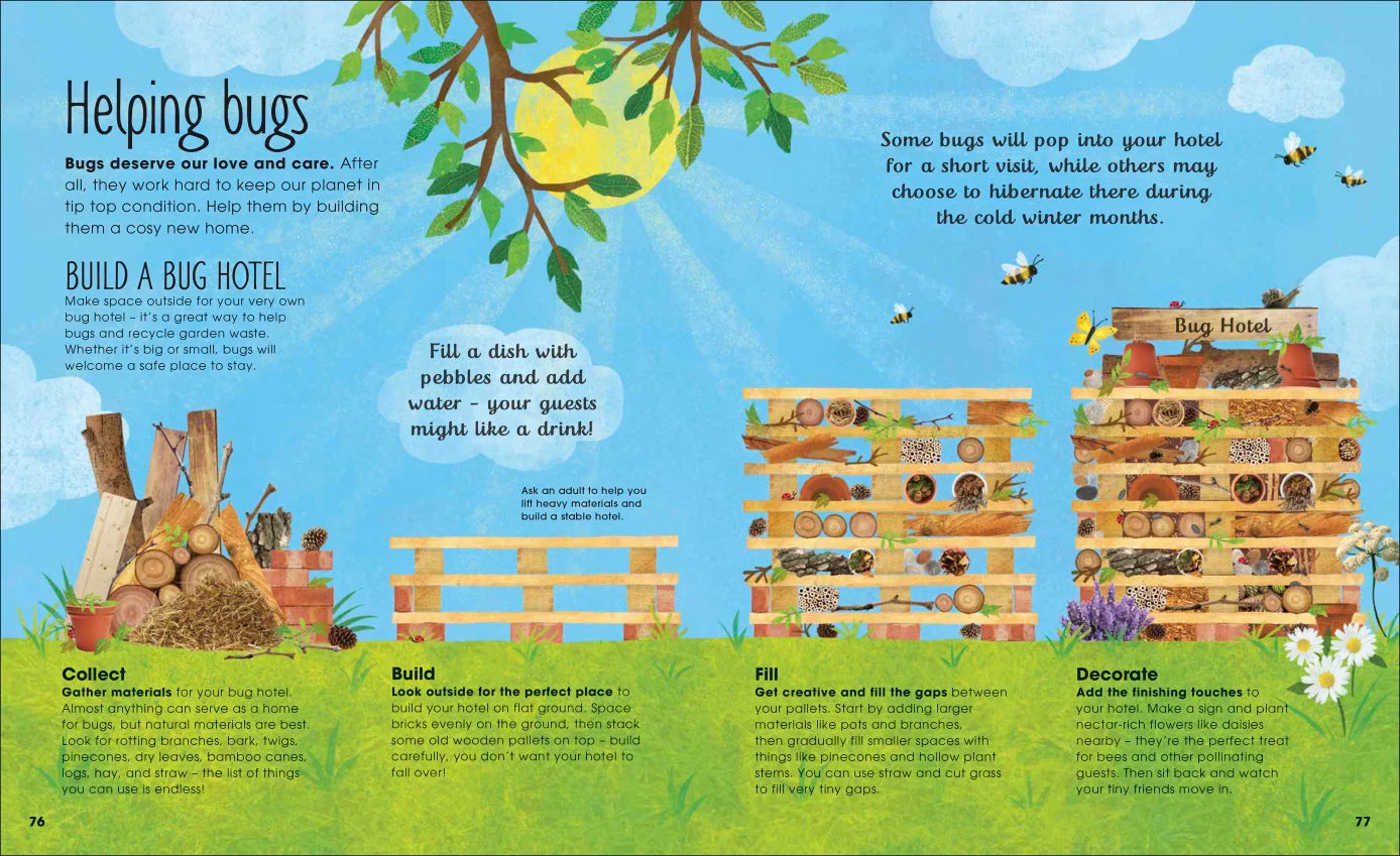 The Book of Brilliant Bugs - By Jess French, Illustrated by Claire McElfatrick