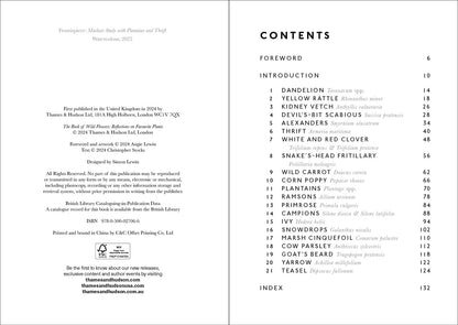The Book of Wild Flowers - by Angie Lewin & Christopher Stocks