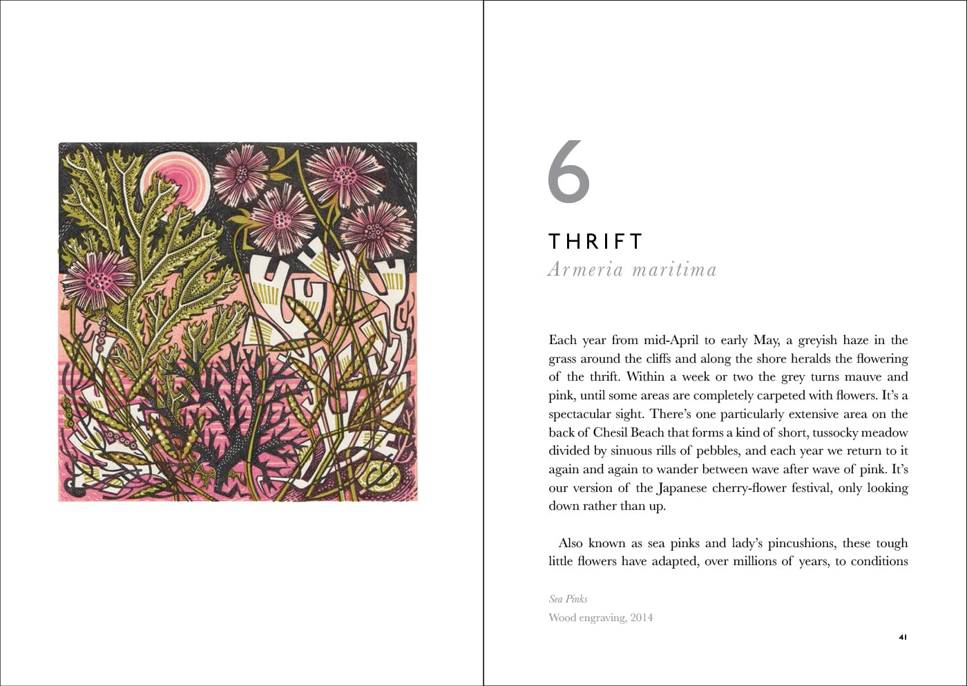 The Book of Wild Flowers - by Angie Lewin & Christopher Stocks