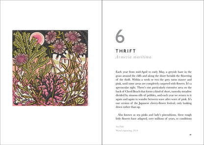 The Book of Wild Flowers - by Angie Lewin & Christopher Stocks