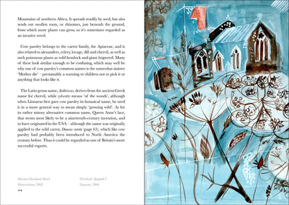 The Book of Wild Flowers - by Angie Lewin & Christopher Stocks