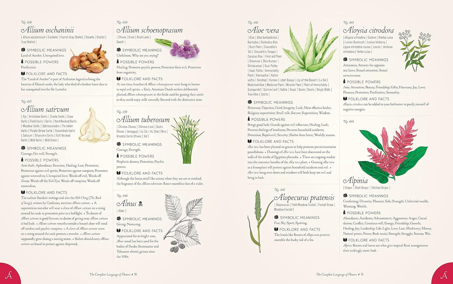 The Complete Language of Flowers - By S. Theresa Dietz