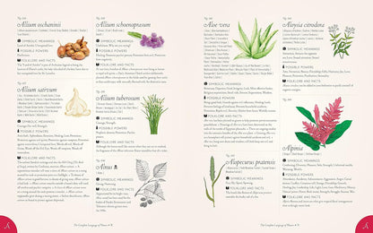 The Complete Language of Flowers - By S. Theresa Dietz