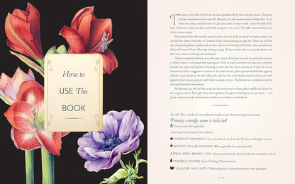 The Complete Language of Flowers - By S. Theresa Dietz
