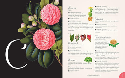 The Complete Language of Flowers - By S. Theresa Dietz