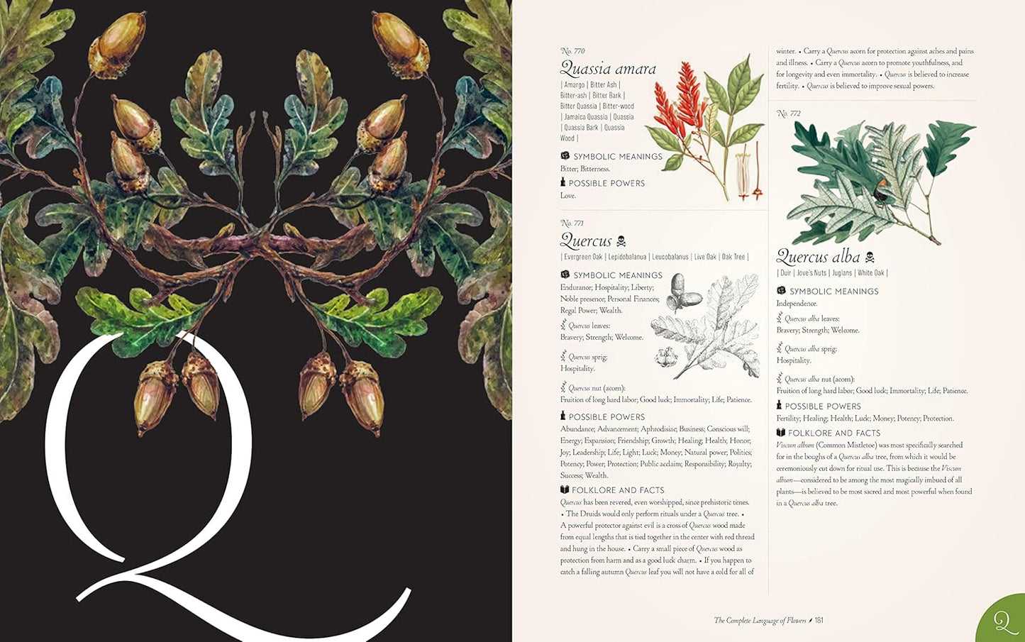 The Complete Language of Flowers - By S. Theresa Dietz