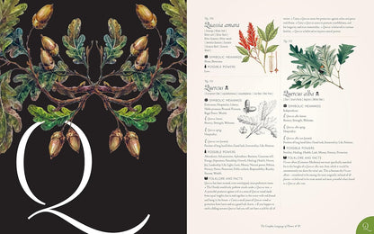 The Complete Language of Flowers - By S. Theresa Dietz