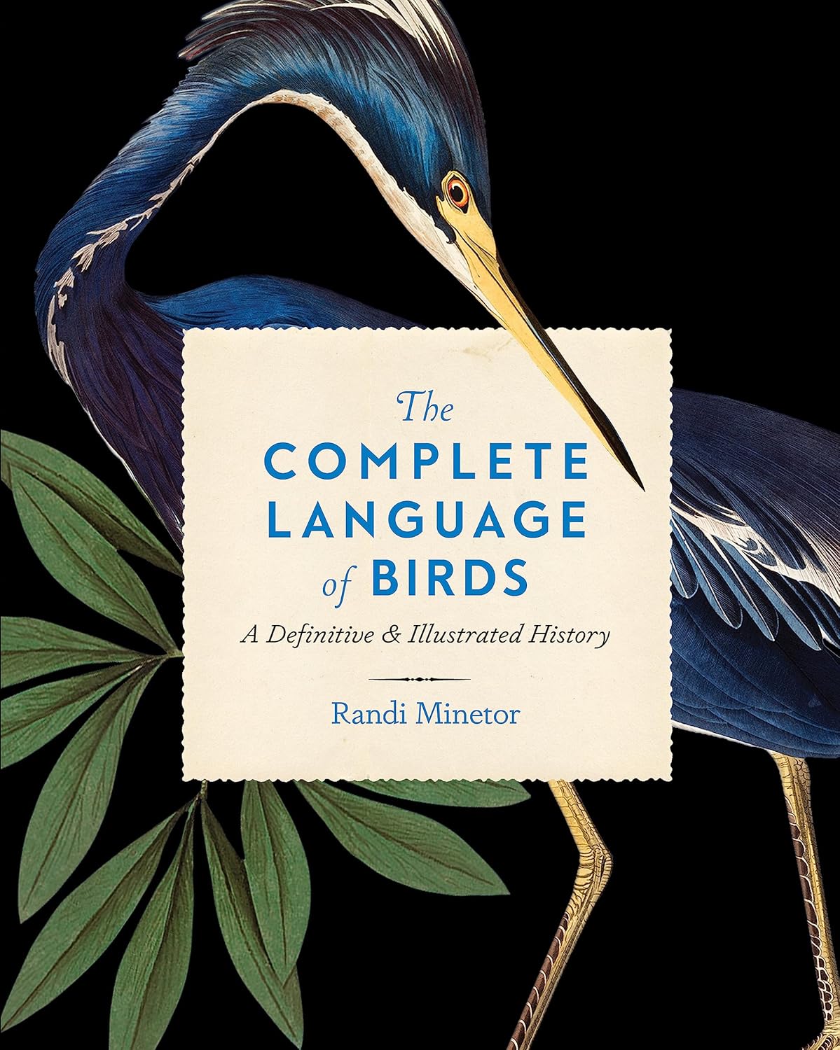 The Complete Language of Birds - By Randi Minetor