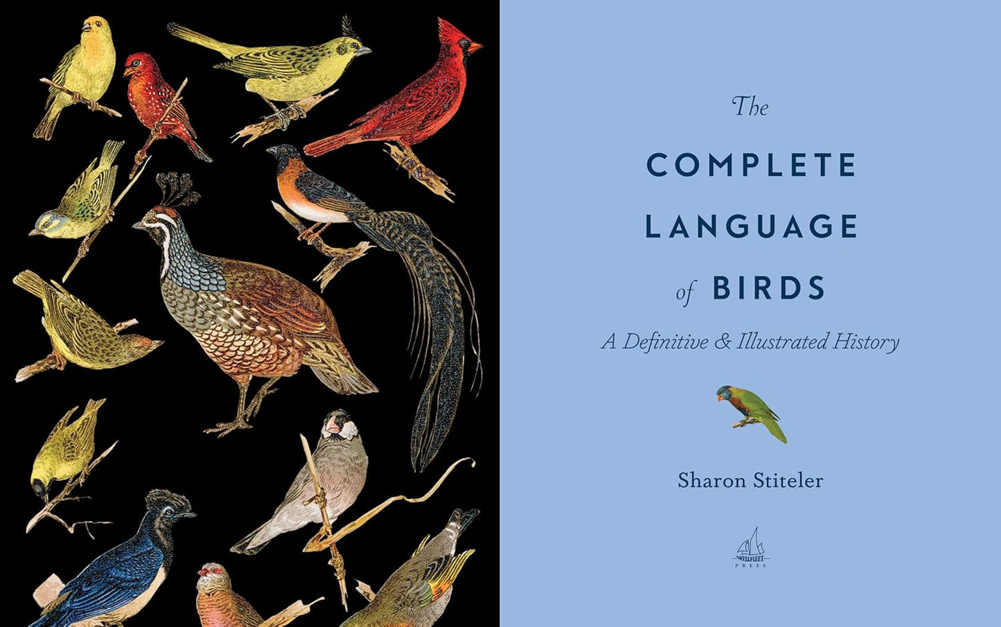 The Complete Language of Birds - By Randi Minetor