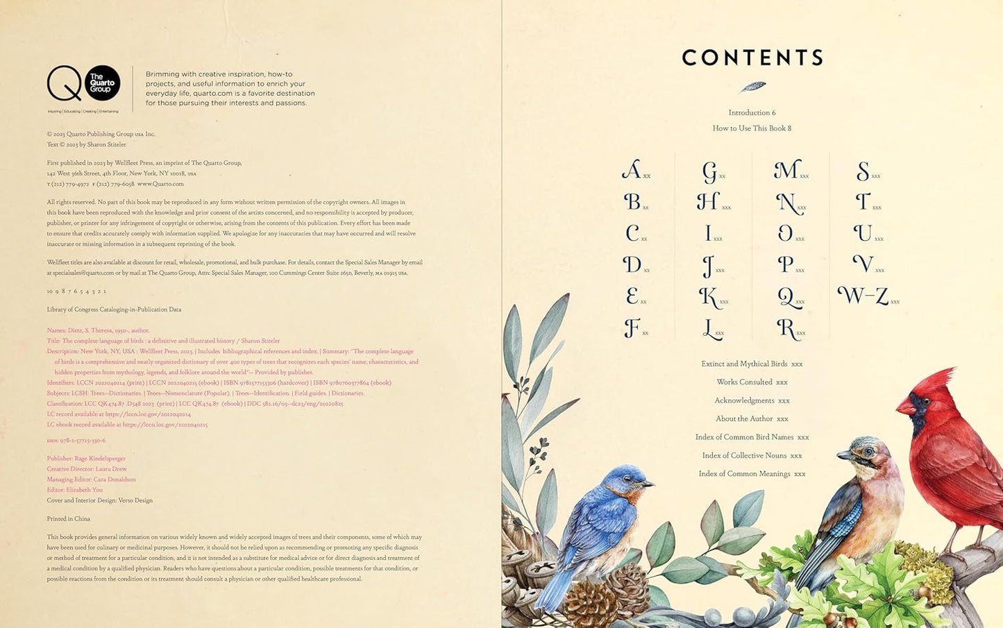 The Complete Language of Birds - By Randi Minetor
