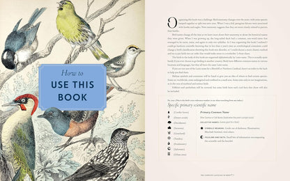 The Complete Language of Birds - By Randi Minetor