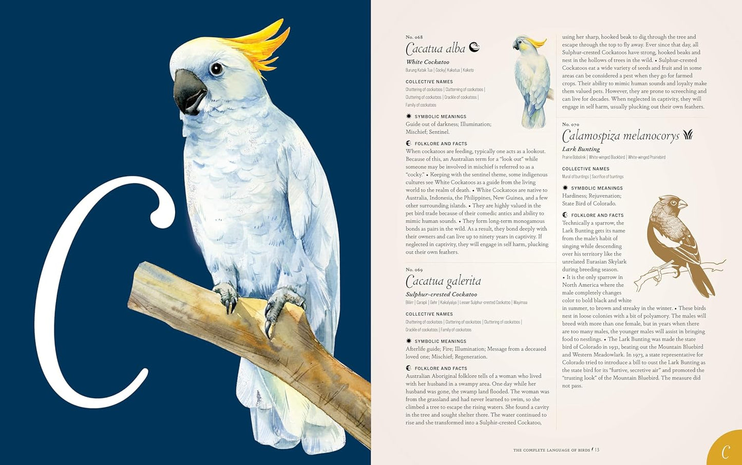 The Complete Language of Birds - By Randi Minetor