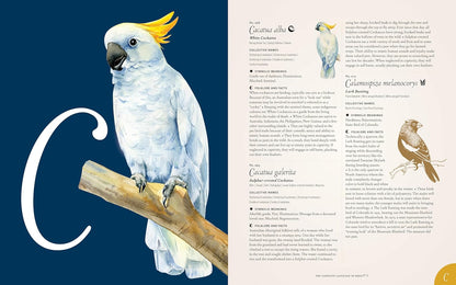 The Complete Language of Birds - By Randi Minetor