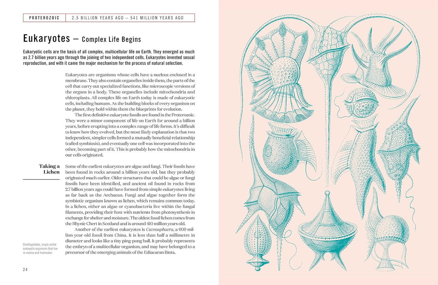 The Earth: A Biography of Life - By Dr Elsa Panciroli