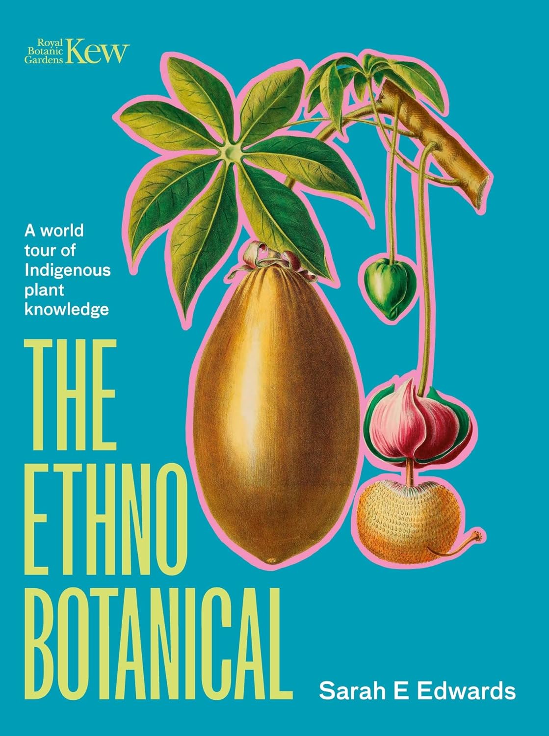 The Ethnobotanical - By Sarah Edwards