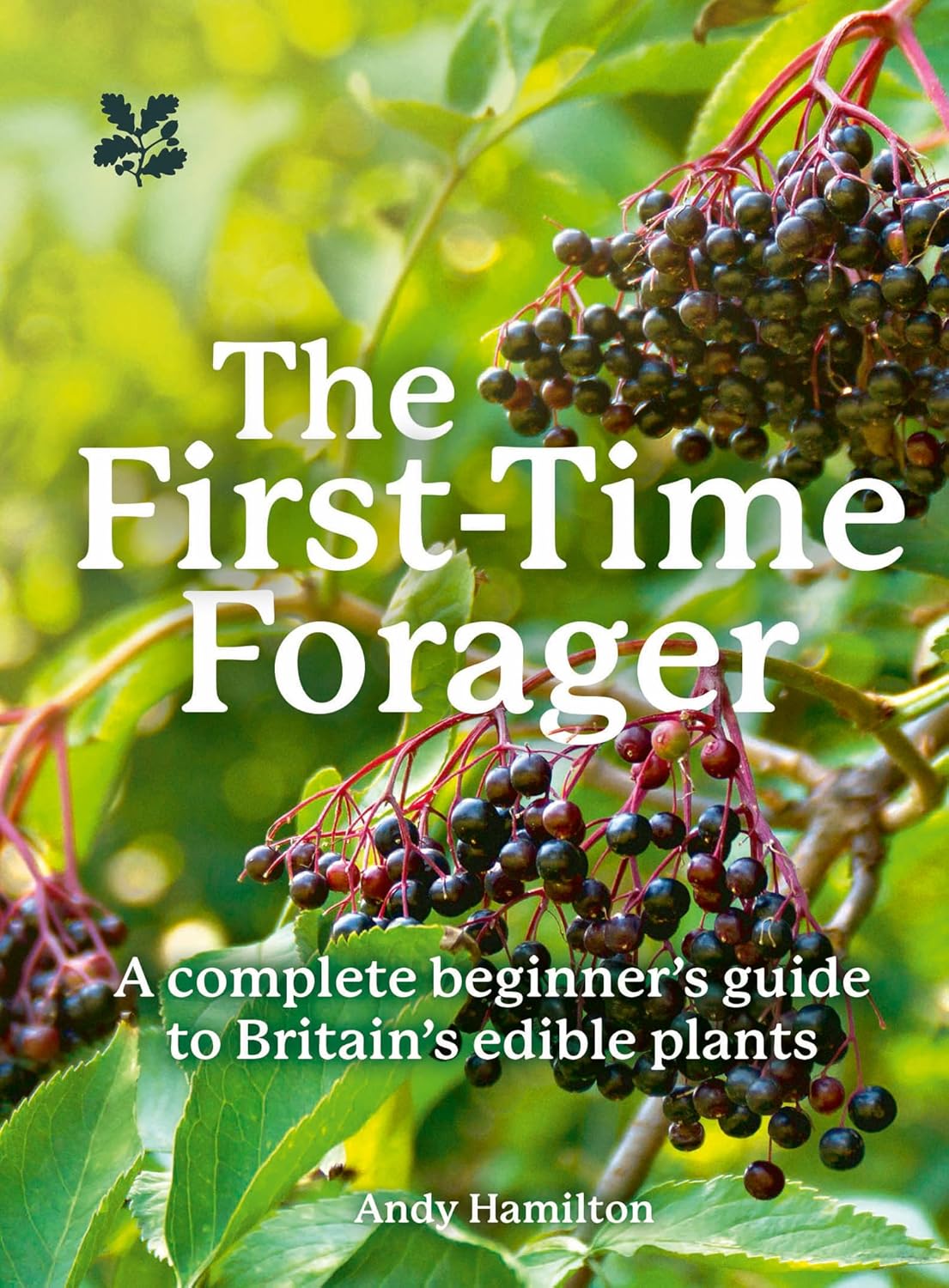 The First Time Forager - By Andy Hamilton