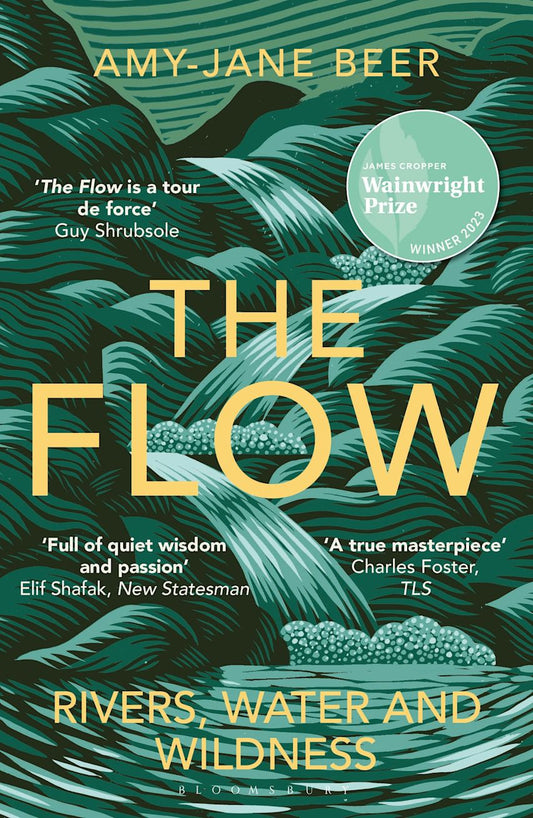 The Flow - By Amy-Jane Beer