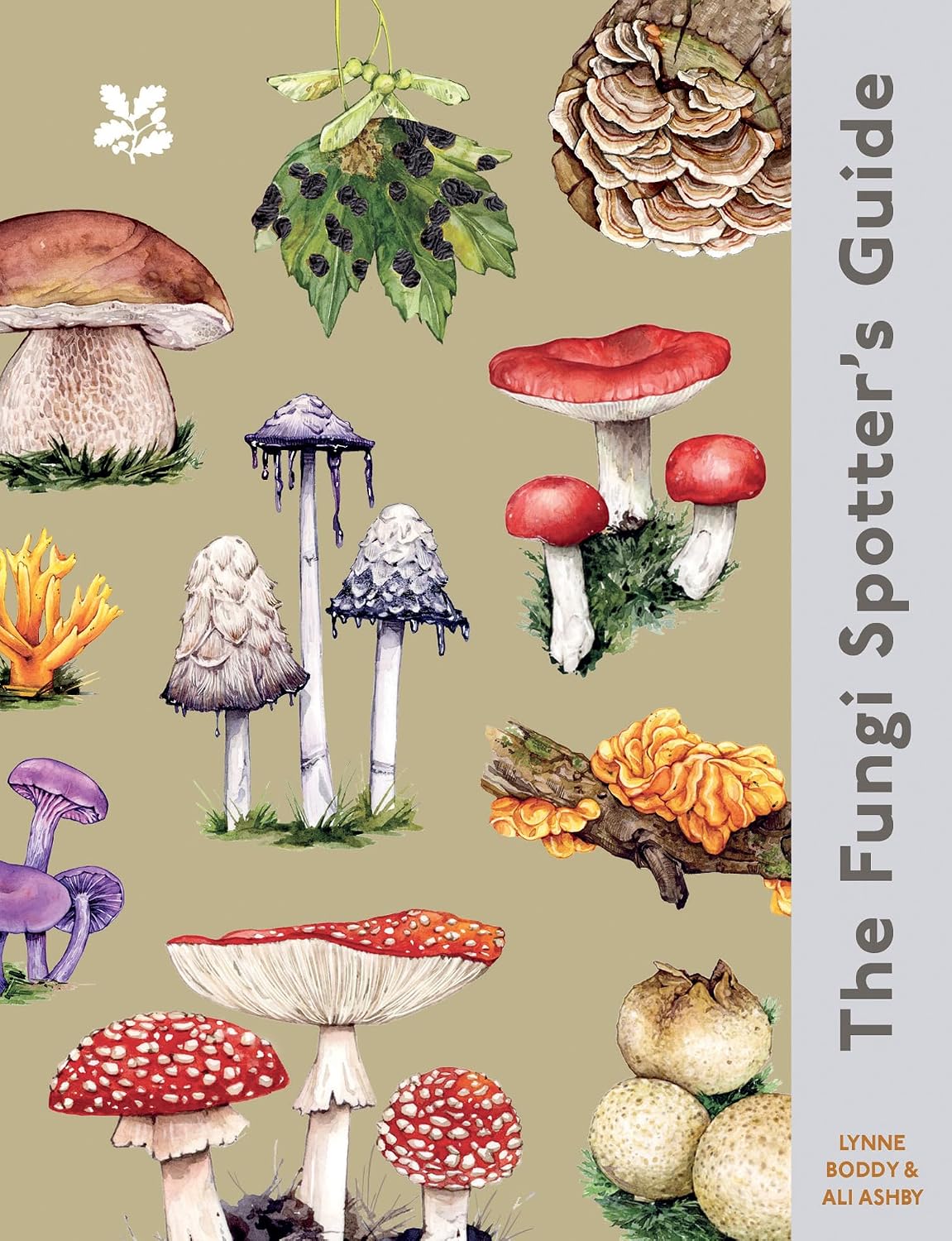 The Fungi Spotter's Guide - By Lynne Boddy & Ali Ashby