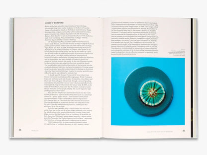 The Future is Fungi - By Michael Lim & Yun Shu