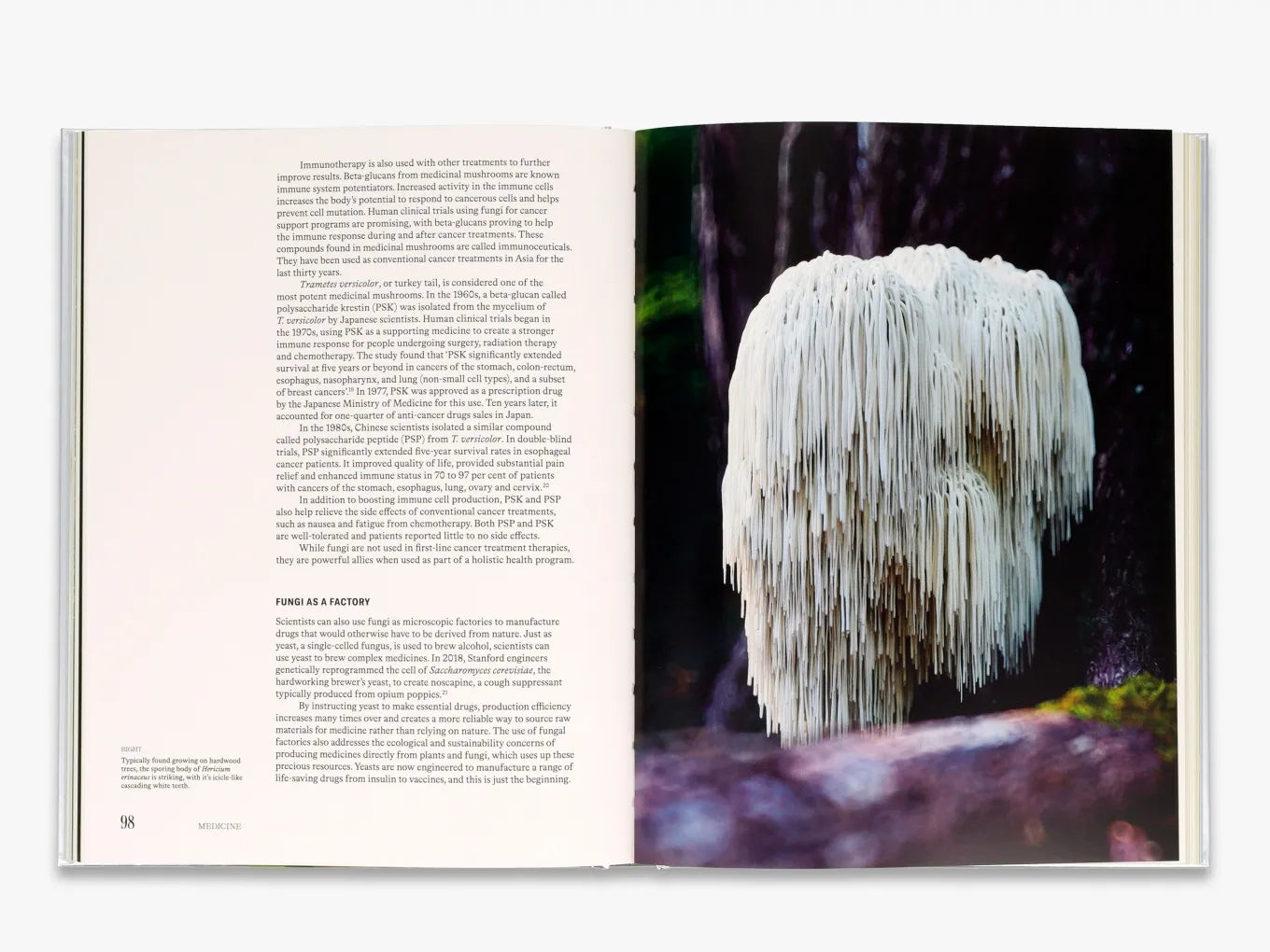 The Future is Fungi - By Michael Lim & Yun Shu