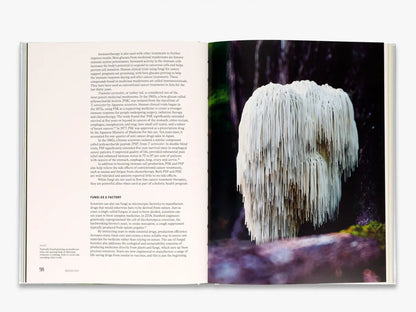 The Future is Fungi - By Michael Lim & Yun Shu