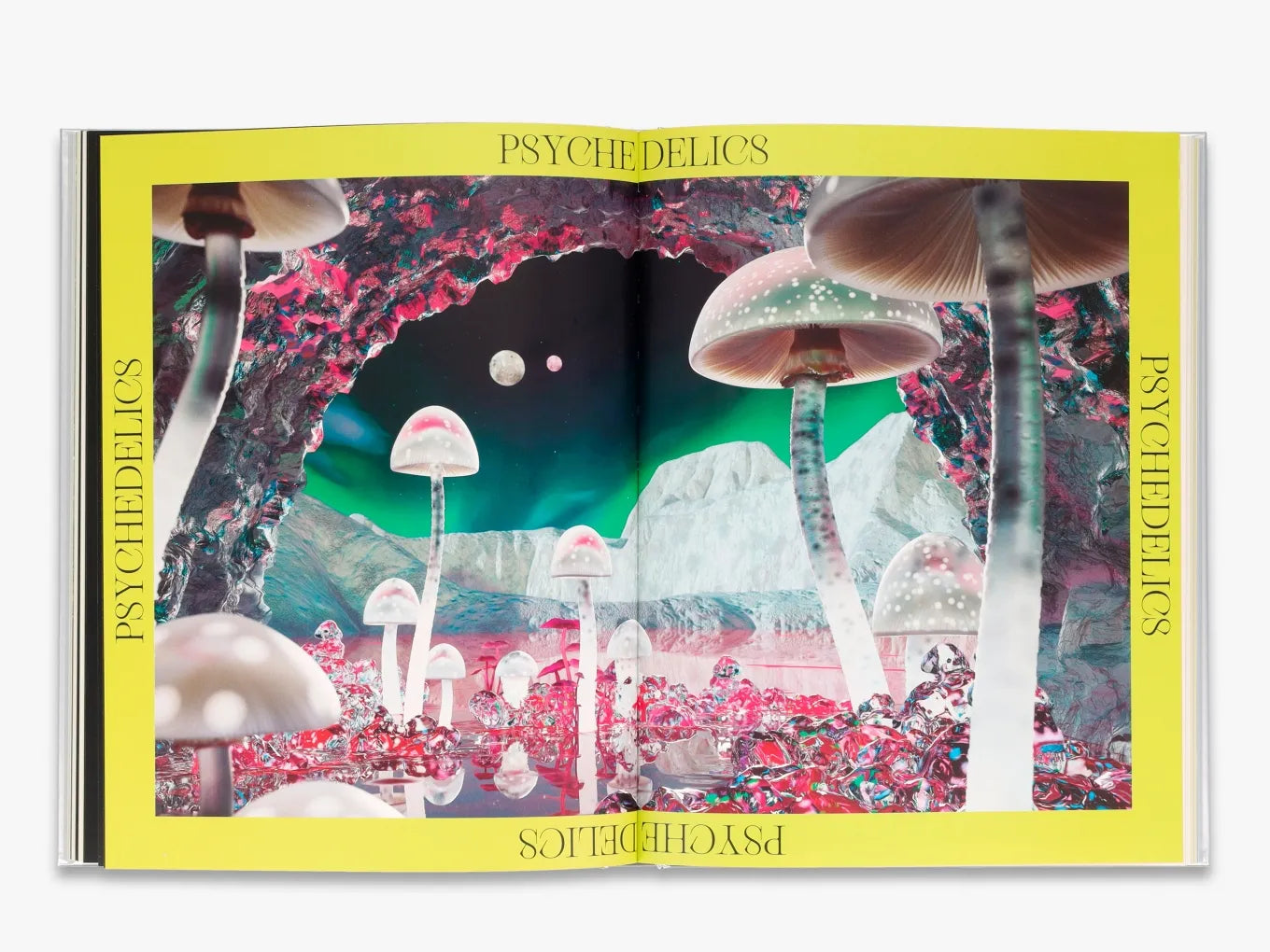The Future is Fungi - By Michael Lim & Yun Shu