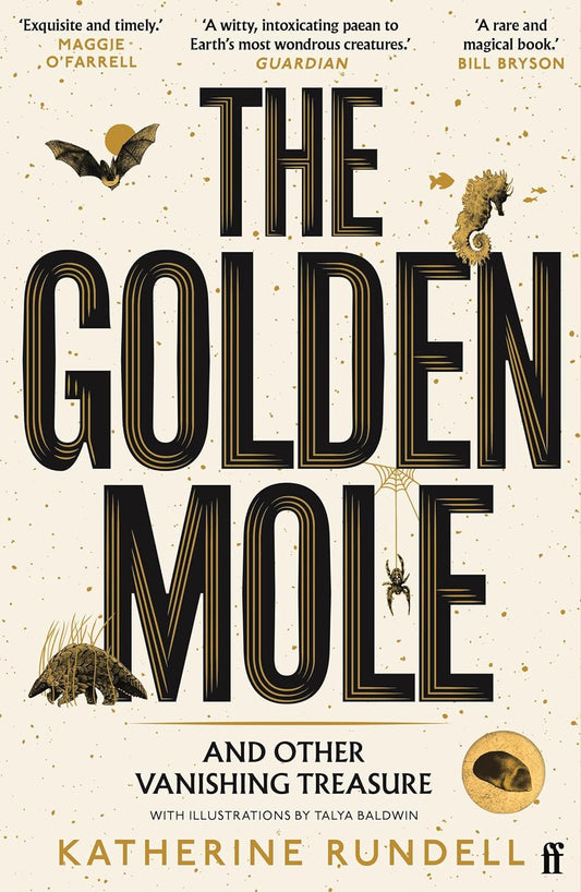 The Golden Mole - By Katherine Rundell