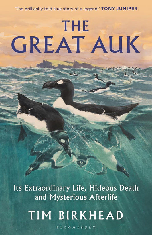 The Great Auk - By Tim Birkhead