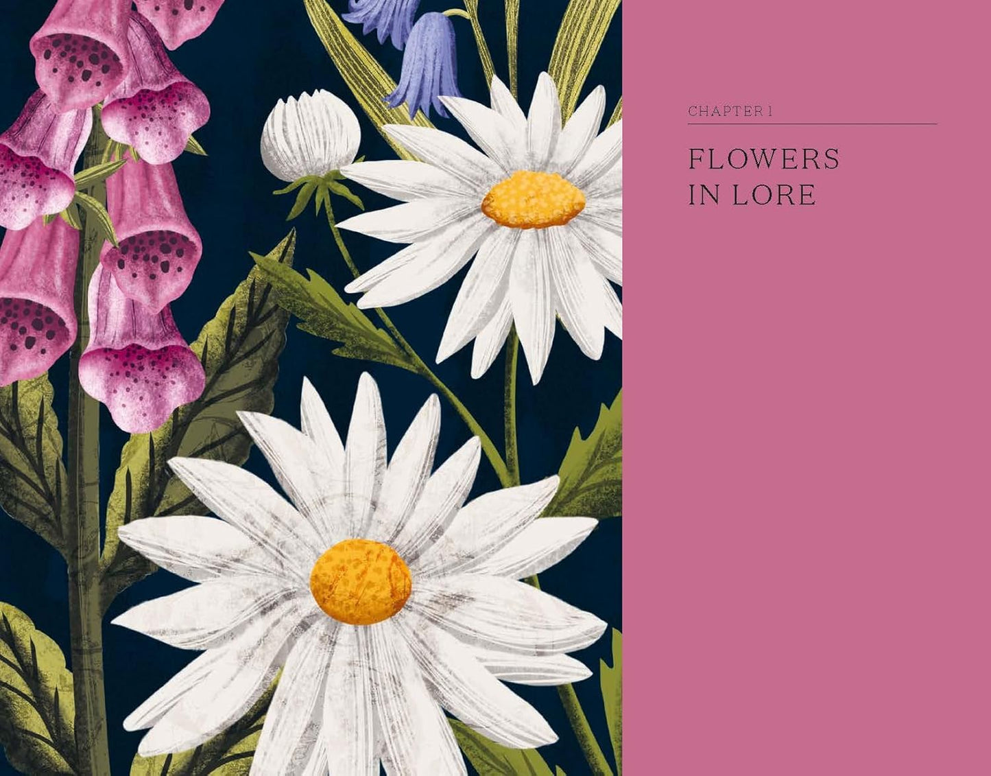 The Hidden Histories of Flowers - By Maddie Bailey & Alice Bailey