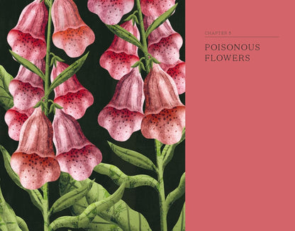 The Hidden Histories of Flowers - By Maddie Bailey & Alice Bailey