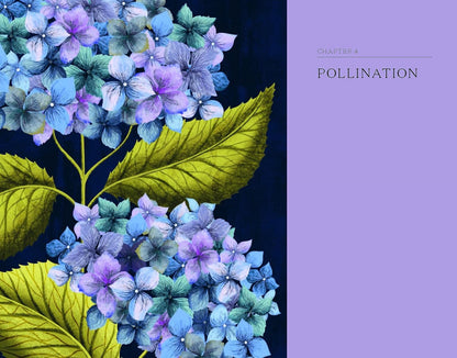 The Hidden Histories of Flowers - By Maddie Bailey & Alice Bailey