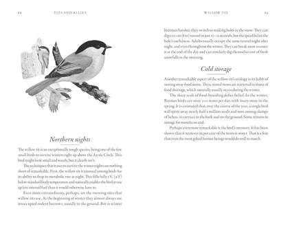 The Hidden Life of Garden Birds - By Dominic Couzens