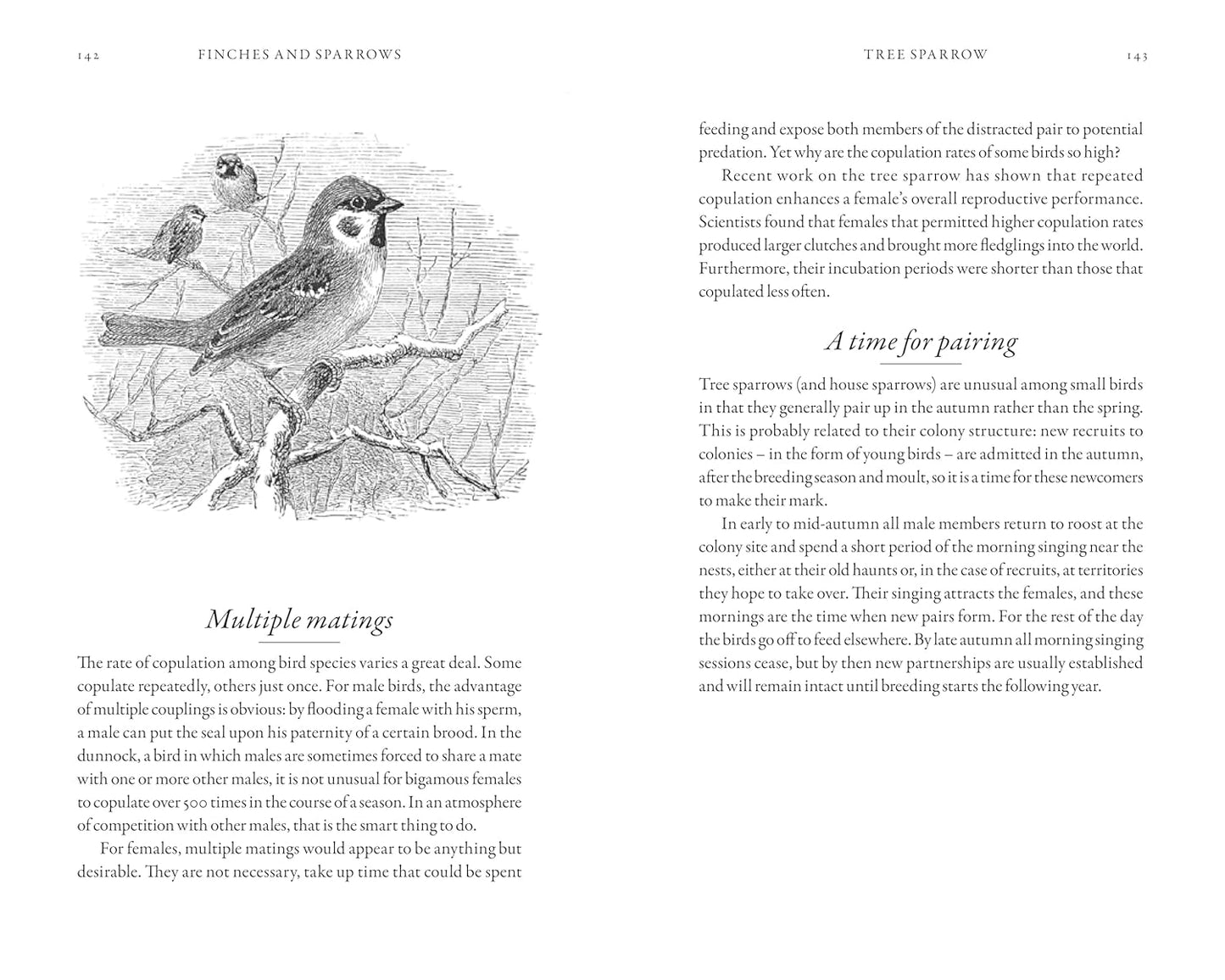 The Hidden Life of Garden Birds - By Dominic Couzens