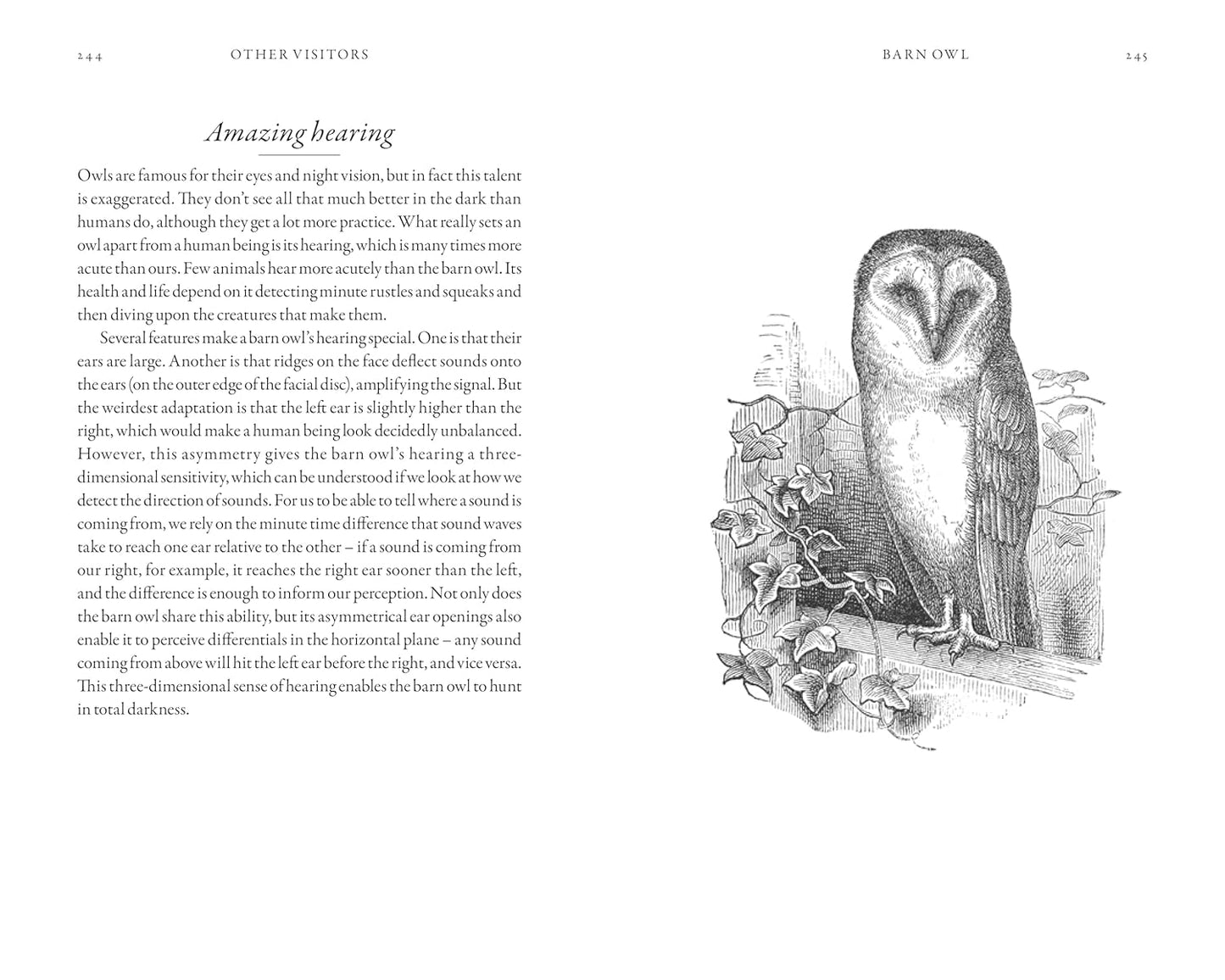 The Hidden Life of Garden Birds - By Dominic Couzens