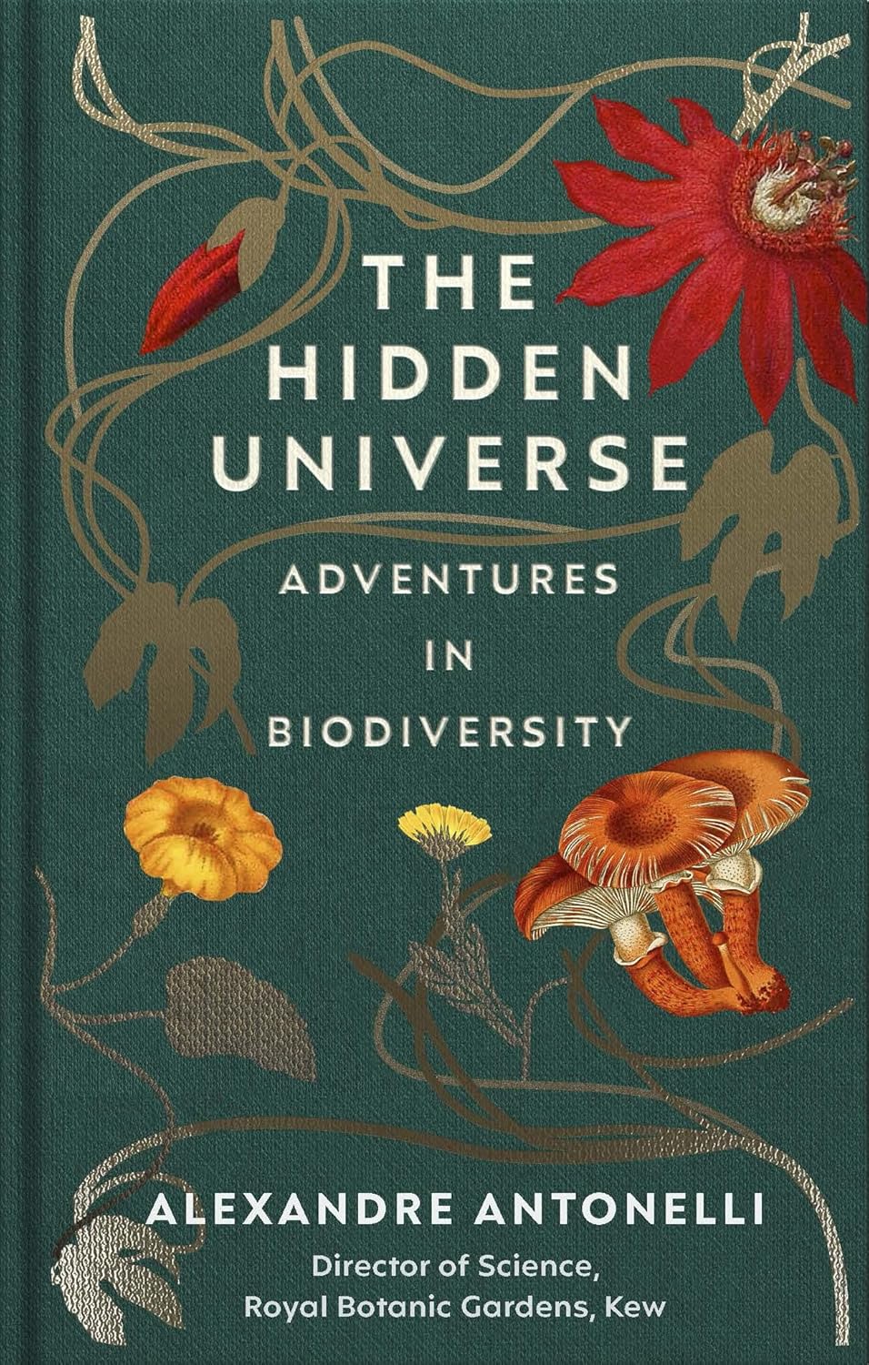 The Hidden Universe - By Alexandre Antonelli