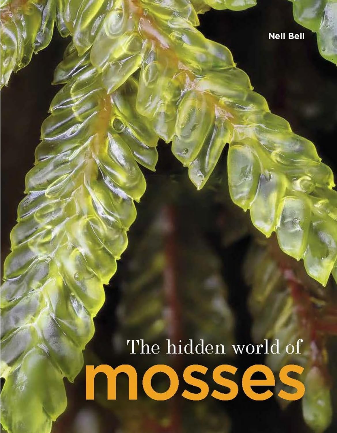 The Hidden World of Mosses - By Neil Bell