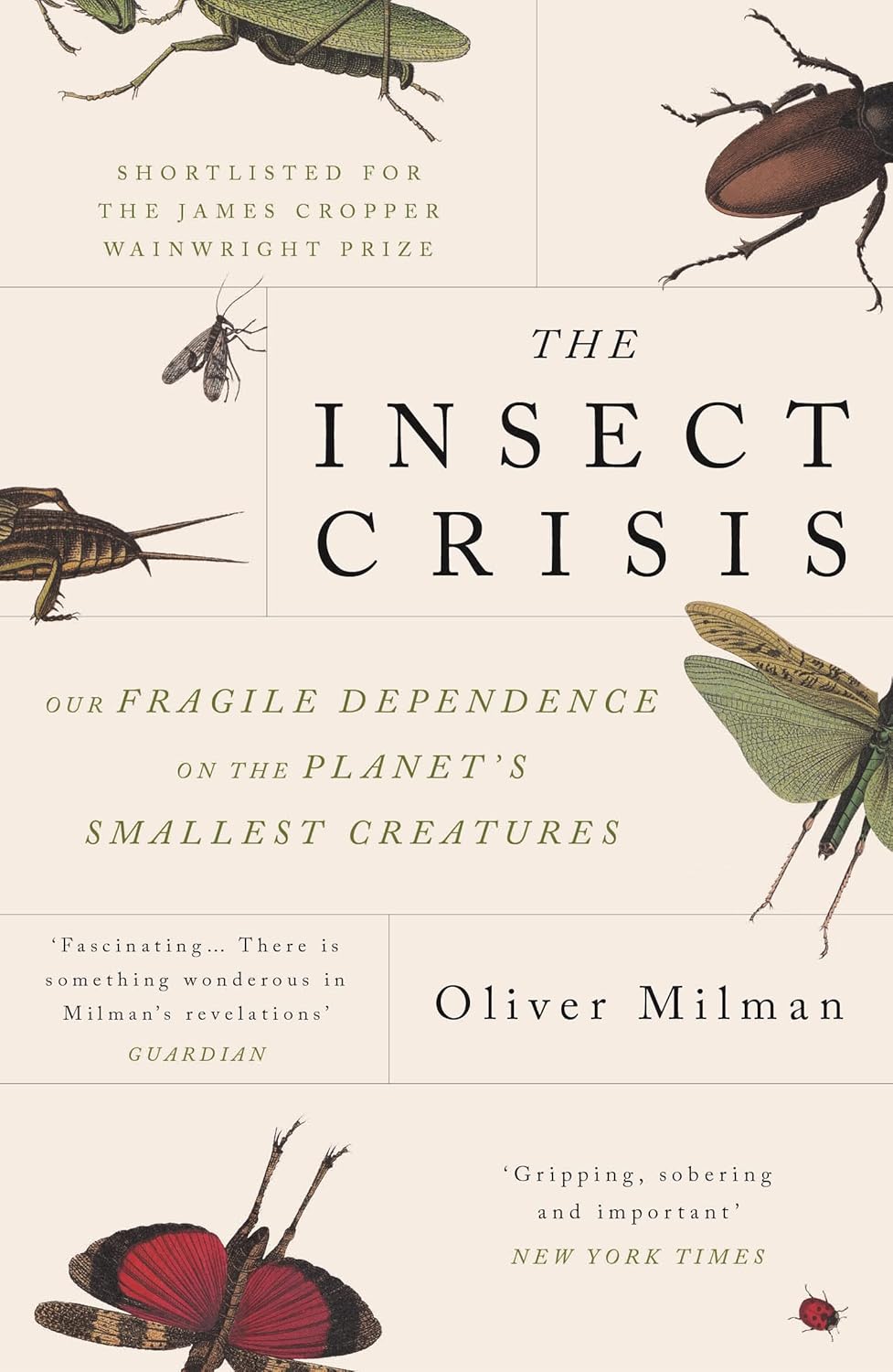 The Insect Crisis - By Oliver Milman