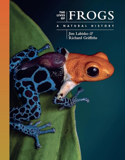The Lives of Frogs - By Jim Labisko & Richard Griffiths
