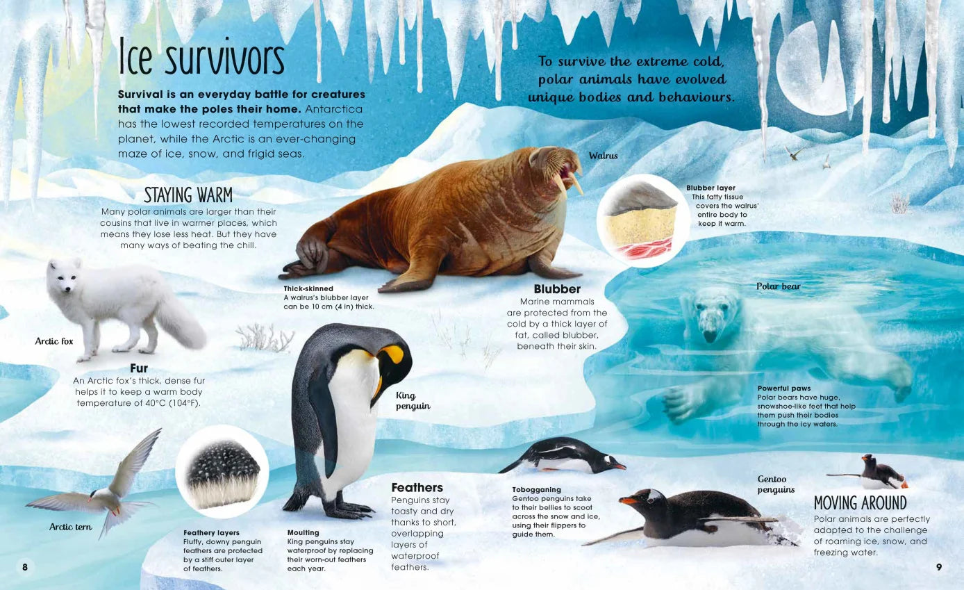 The Magic and Mystery of Nature Collection - By Various Authors