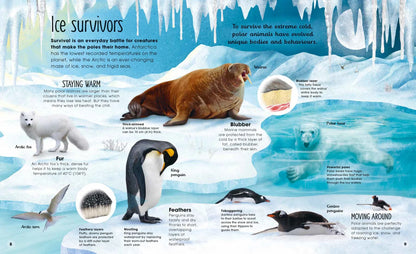 The Magic and Mystery of Nature Collection - By Various Authors