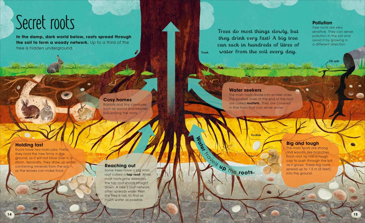 The Magic and Mystery of Nature Collection - By Various Authors