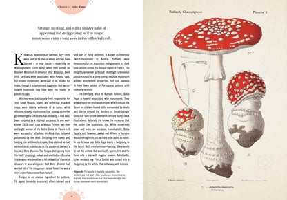 The Magic of Mushrooms - By Sandra Lawrence