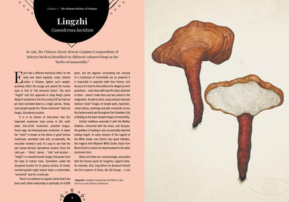 The Magic of Mushrooms - By Sandra Lawrence