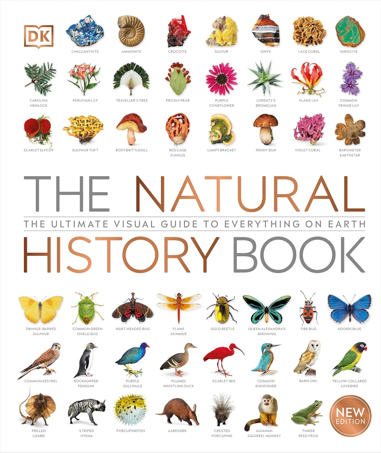 The Natural History Book - By DK Books