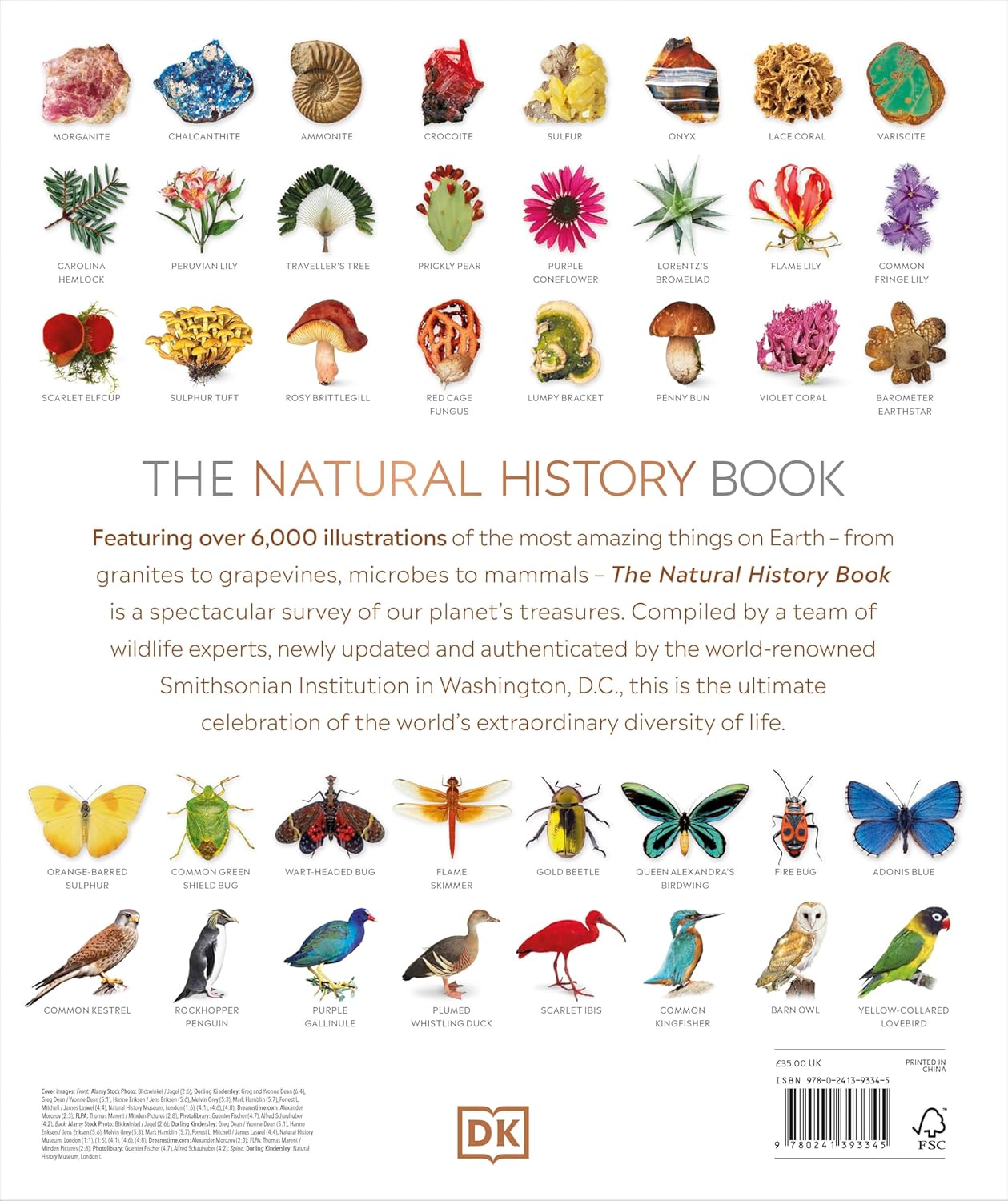 The Natural History Book - By DK Books