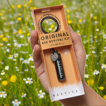 The Original Bee Revival Kit - Black Edition