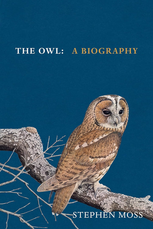 The Owl: A Biography - By Stephen Moss