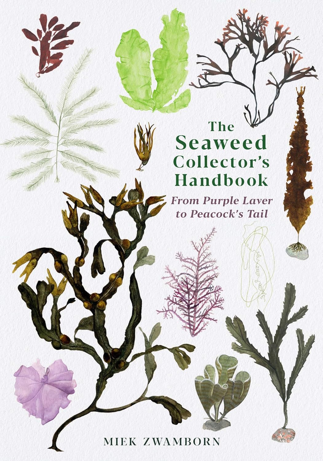 The Seaweed Collector's Handbook - By Miek Zwamborn