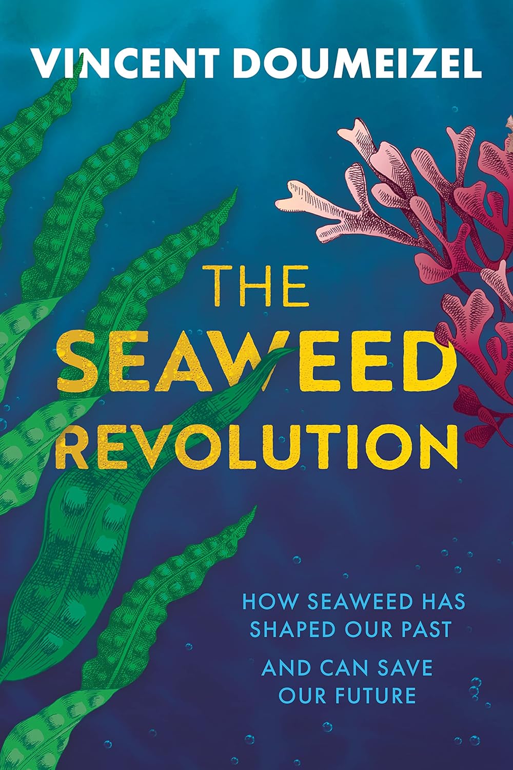 The Seaweed Revolution - By Vincent Doumeizel